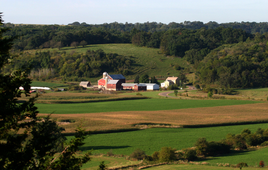 Neighborhood Spotlight Everything You Need To Know About Cottage Grove