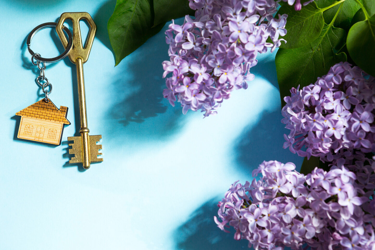 Spring Home Buying Checklist: How to Get Ready For the Real Estate Rush ...